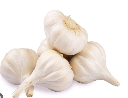 Garlic