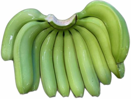 Bananas G9